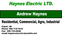 Haynes